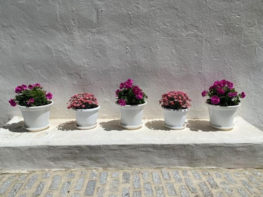 Villa Casa Galeria La Retinta à Vejer de la Frontera Extérieur photo