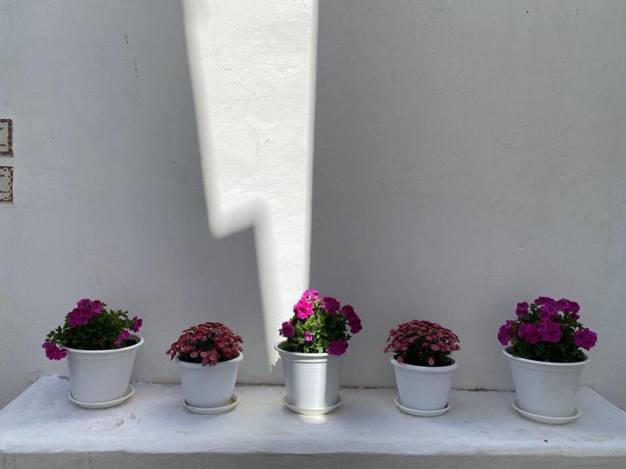 Villa Casa Galeria La Retinta à Vejer de la Frontera Extérieur photo